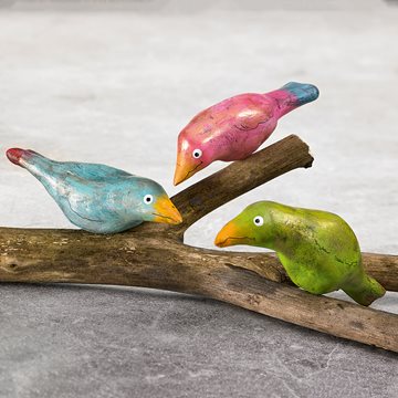 Farverige fugle